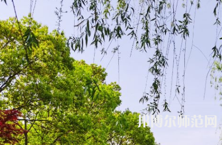 南陽理工師范學(xué)院2023年報名條件、招生要求、招生對象