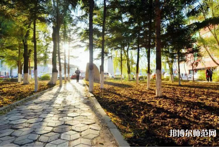 長春大學(xué)師范學(xué)院主校區(qū)2023年報名條件、招生要求、招生對象