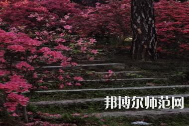 信陽師范學(xué)院華銳學(xué)院2023年報(bào)名條件、招生要求、招生對象