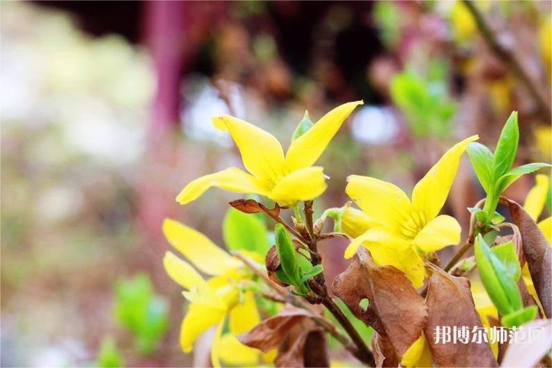長(zhǎng)春理工師范大學(xué)2023年怎么樣、好不好