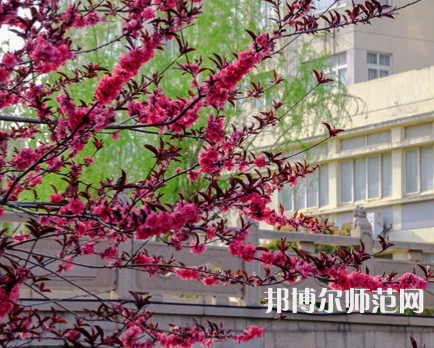 蘇州科技師范大學(xué)天平學(xué)院2023年報名條件、招生要求、招生對象