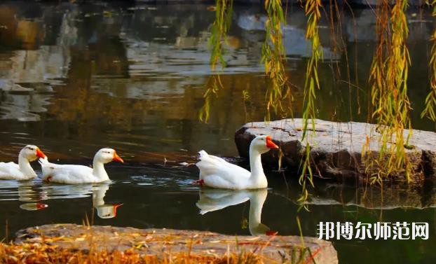 山東財經(jīng)師范大學(xué)萊蕪校區(qū)2023年報名條件、招生要求、招生對象 
