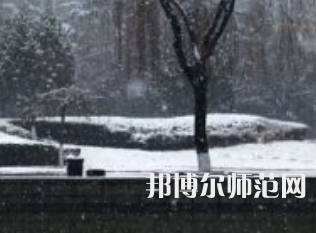 焦作師范高等?？茖W(xué)校2023年招生代碼