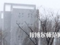 焦作師范高等?？茖W(xué)校2023年招生代碼