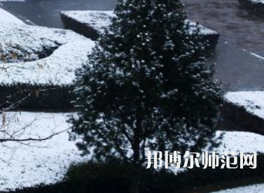 焦作師范高等?？茖W(xué)校2023年報(bào)名條件、招生要求、招生對(duì)象