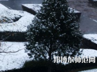 焦作師范高等?？茖W(xué)校2023年報名條件、招生要求、招生對象