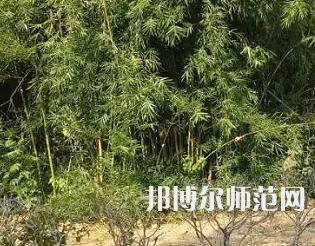 湖南理工師范學(xué)院南湖學(xué)院2023年怎么樣、好不好