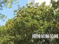 湖南理工師范學院南湖學院2023年怎么樣、好不好