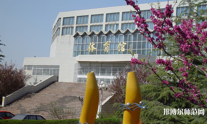 山東財經(jīng)師范大學圣井校區(qū)2023年報名條件、招生要求、招生對象 