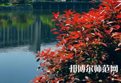 南華大學船山師范學院雨母校區(qū)2023年報名條件、招生要求、招生對象