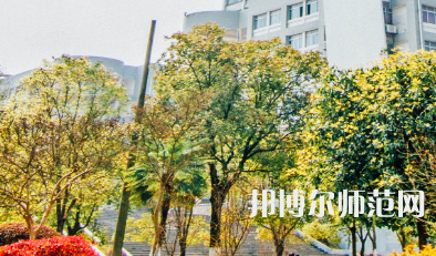 南華大學(xué)船山師范學(xué)院紅湘校區(qū)2023年有哪些專(zhuān)業(yè)