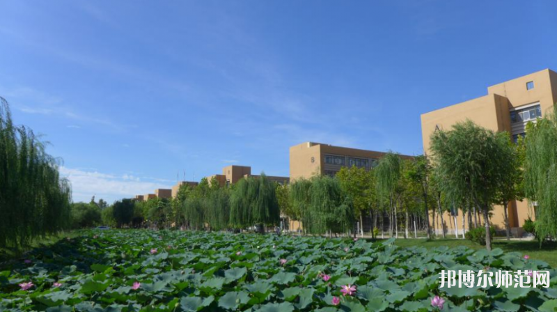 東營(yíng)職業(yè)師范學(xué)院2023年報(bào)名條件、招生要求、招生對(duì)象 
