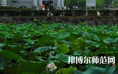 南華師范大學紅湘校區(qū)2023年報名條件、招生要求、招生對象