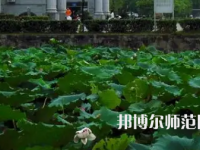 南華師范大學(xué)紅湘校區(qū)2023年報(bào)名條件、招生要求、招生對(duì)象