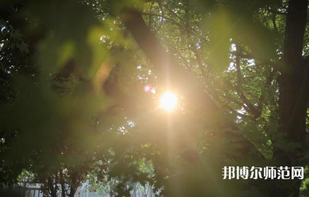 咸陽職業(yè)技術(shù)師范學(xué)院2023年報名條件、招生要求、招生對象