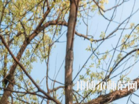湖南大學(xué)師范學(xué)院南校區(qū)2023年怎么樣、好不好