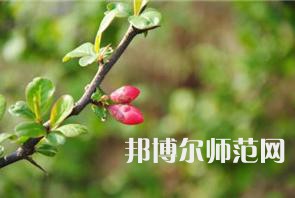 西安幼兒師范職業(yè)學(xué)校2023年學(xué)費(fèi)、收費(fèi)多少