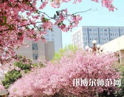 中國礦業(yè)師范大學徐海學院2023年報名條件、招生要求、招生對象