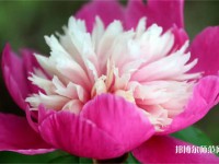 海南師范大學(xué)2023年報(bào)名條件、招生要求、招生對(duì)象
