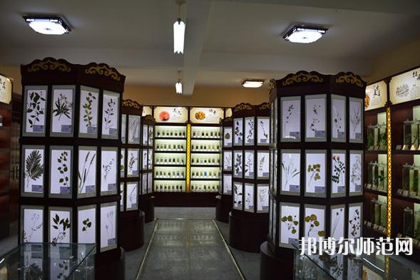 銅川職業(yè)技術(shù)師范學(xué)院2023年學(xué)費(fèi)、收費(fèi)多少
