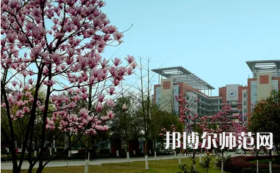 長江師范學院2023年報名條件、招生要求、招生對象 