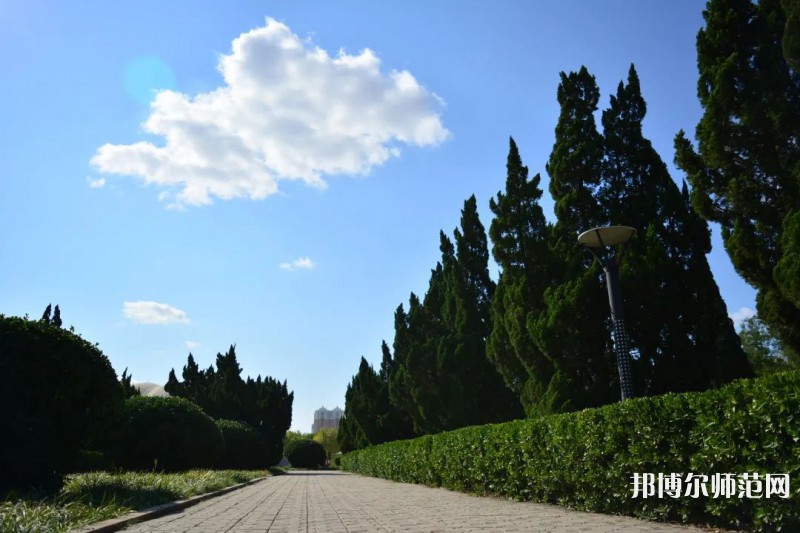 山東石油化工師范學(xué)院2023年報(bào)名條件、招生要求、招生對象 