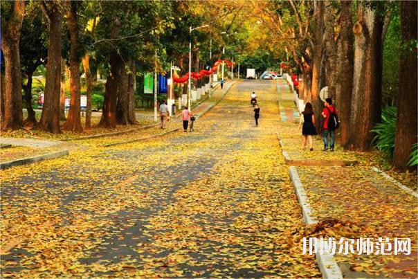 海南大學師范學院海甸校區(qū)2023年報名條件、招生要求、招生對象 