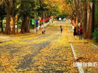 海南大學(xué)師范學(xué)院海甸校區(qū)2023年報(bào)名條件、招生要求、招生對(duì)象