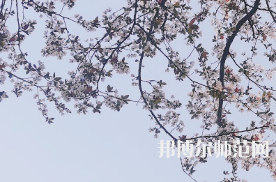 湖南第一師范學(xué)院城南書院校區(qū)2023年學(xué)費(fèi)、收費(fèi)多少