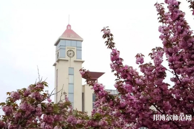 青島師范大學(xué)金家?guī)X校區(qū)2023年報(bào)名條件、招生要求、招生對象 