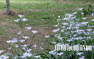 湖南第一師范學(xué)院城南書院校區(qū)2023年怎么樣、好不好