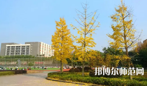 重慶幼兒師范高等?？茖W校梨園校區(qū)2023年是幾本