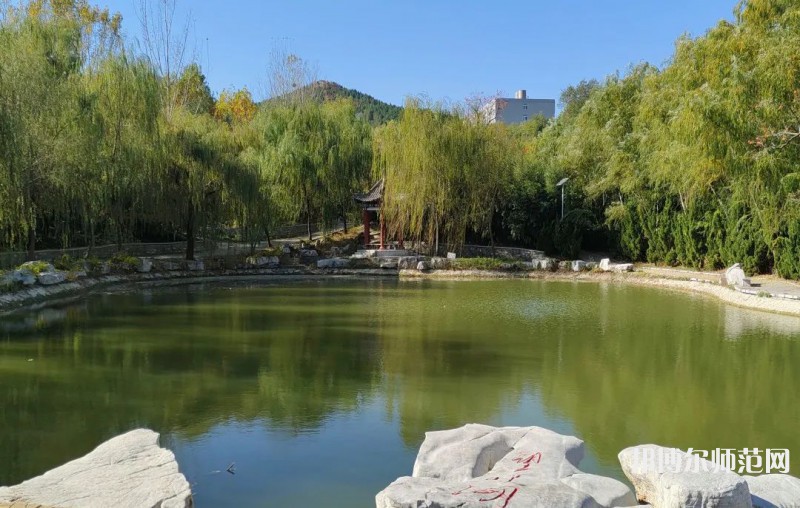 濰坊理工師范學院2023年有哪些專業(yè) 