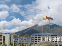拉薩師范高等?？茖W校2023年招生代碼
