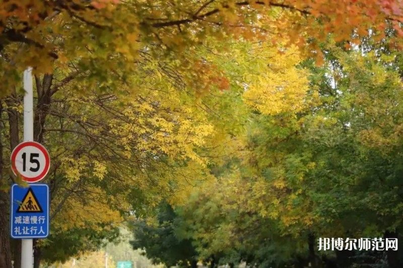 濟南幼兒師范高等?？茖W校2023年有哪些專業(yè)