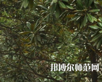 湖南師范大學(xué)樹達(dá)學(xué)院2023年學(xué)費(fèi)、收費(fèi)多少