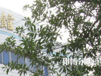 湖南師范大學樹達學院2023年怎么樣、好不好
