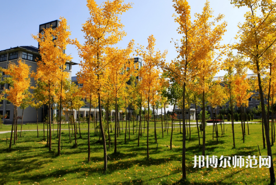 寧夏民族職業(yè)技術師范學院2023年怎么樣、好不好 