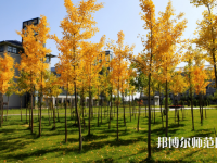 瀘州幼師職業(yè)技術(shù)學(xué)校2023年學(xué)費(fèi)、收費(fèi)多少