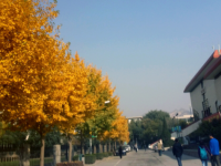 西北師范大學2023年怎么樣、好不好