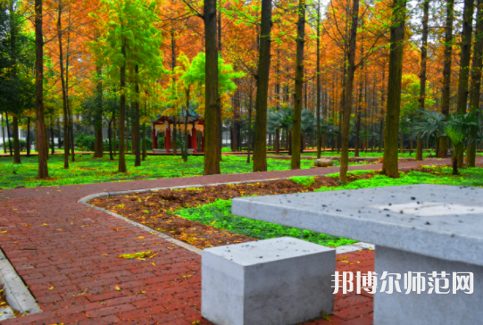 長(zhǎng)江大學(xué)文理學(xué)院2023年怎么樣、好不好