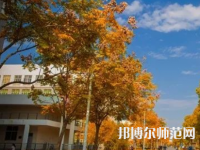 南京師范大學泰州學院2023年報名條件、招生要求、招生對象