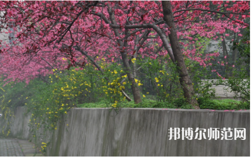 湖北師范學(xué)院2023年招生計劃