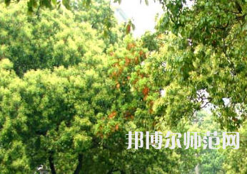 衡陽(yáng)師范學(xué)院南岳學(xué)院2023年怎么樣、好不好