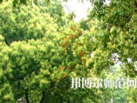 衡陽師范學(xué)院南岳學(xué)院2023年怎么樣、好不好
