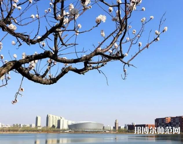 天津理工師范大學(xué)2023年報(bào)名條件、招生要求、招生對象