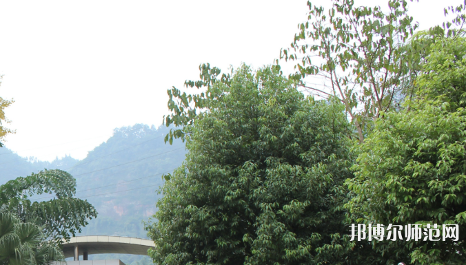 自貢大安幼師職業(yè)技術(shù)學(xué)校2023年學(xué)費、收費多少