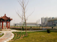 涿州幼師技師學(xué)院2023年有哪些專(zhuān)業(yè)
