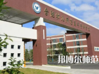 2023年合肥幼兒師范高等?？茖W(xué)校是民辦大學(xué)還是公辦